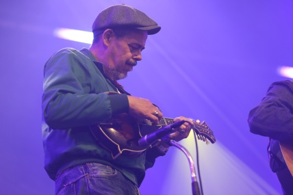 TIM KNOL & THE BLUES GRASS BOOGIEMEN