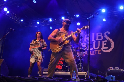 REV PEYTONS BIG DAMN BAND