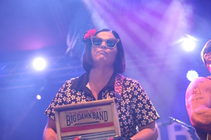 REV PEYTONS BIG DAMN BAND