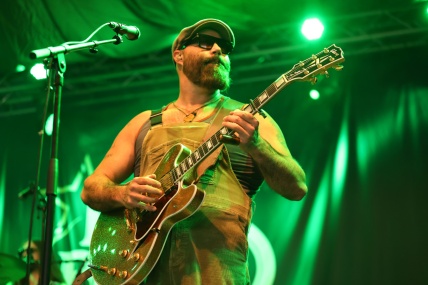 REV PEYTONS BIG DAMN BAND