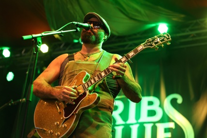 REV PEYTONS BIG DAMN BAND