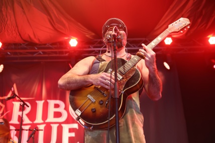 REV PEYTONS BIG DAMN BAND