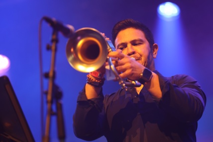 YOUNG GUN SILVER FOX