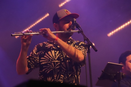 YOUNG GUN SILVER FOX